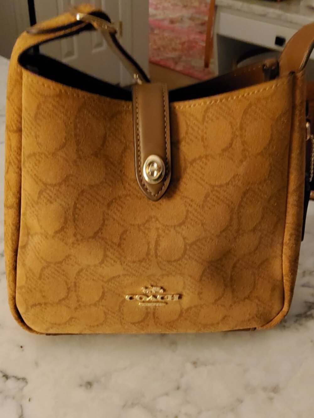 Coach Small Hadley Suede Crossbody CCE16